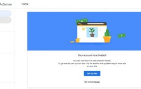 What is Google adsense? How does Google Ad Network work? Can a novice learn adsense?